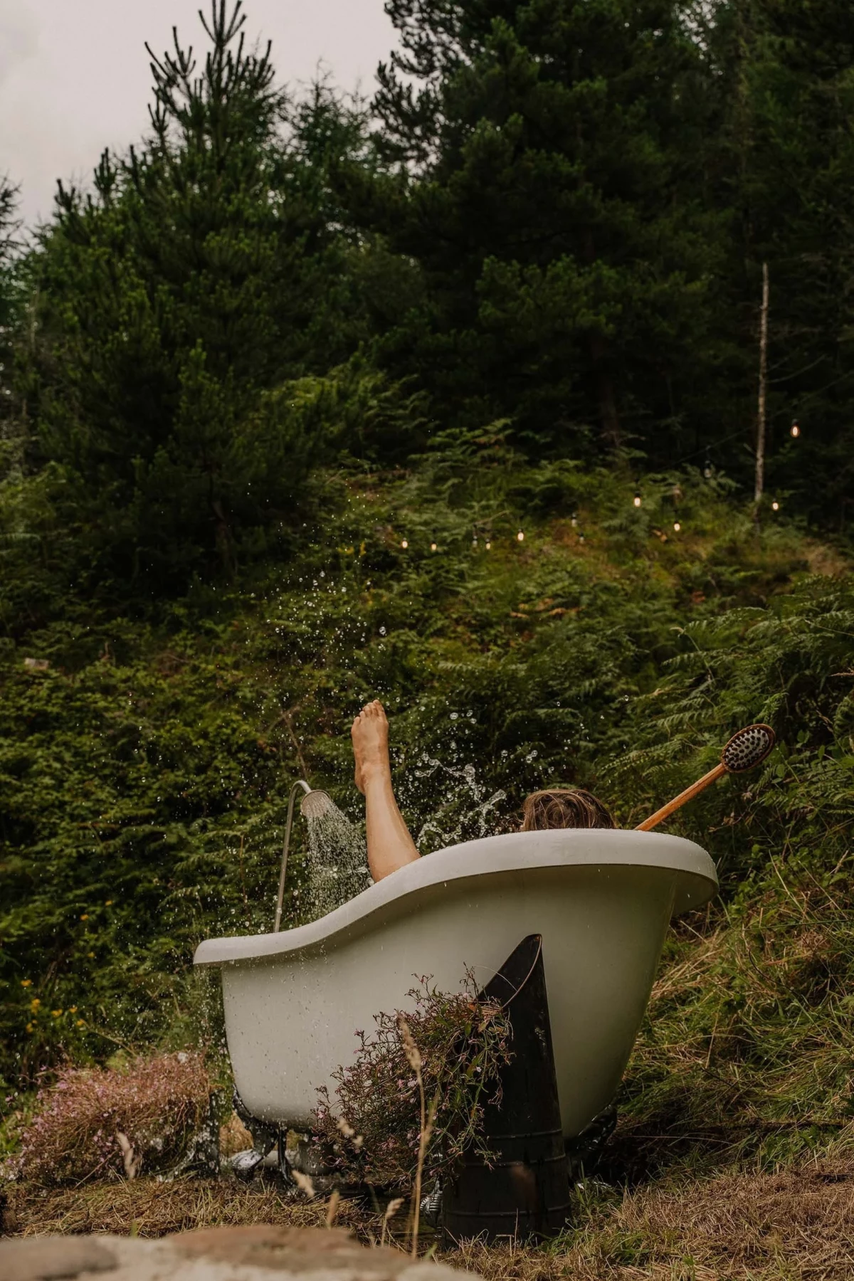 Tails Wagging, Paws Running – Fetch & Win Is Just Getting Started