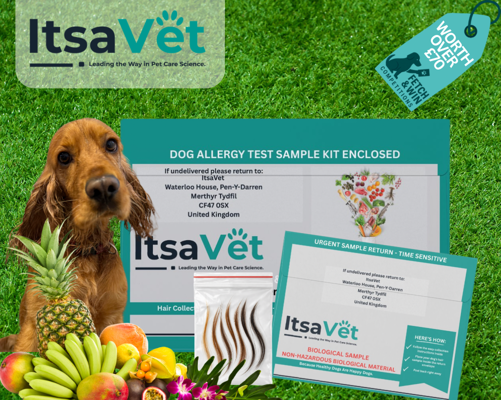 🐾 Win a Dog Allergy Test With 700 Results Worth £70 - Cash Alternative
