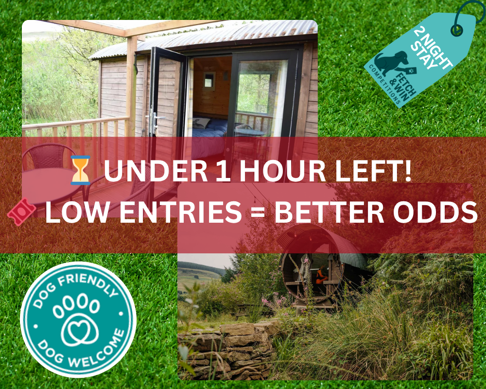 🐶 Win a Dog-Friendly Glamping Stay in Afan Forest – 2 Nights